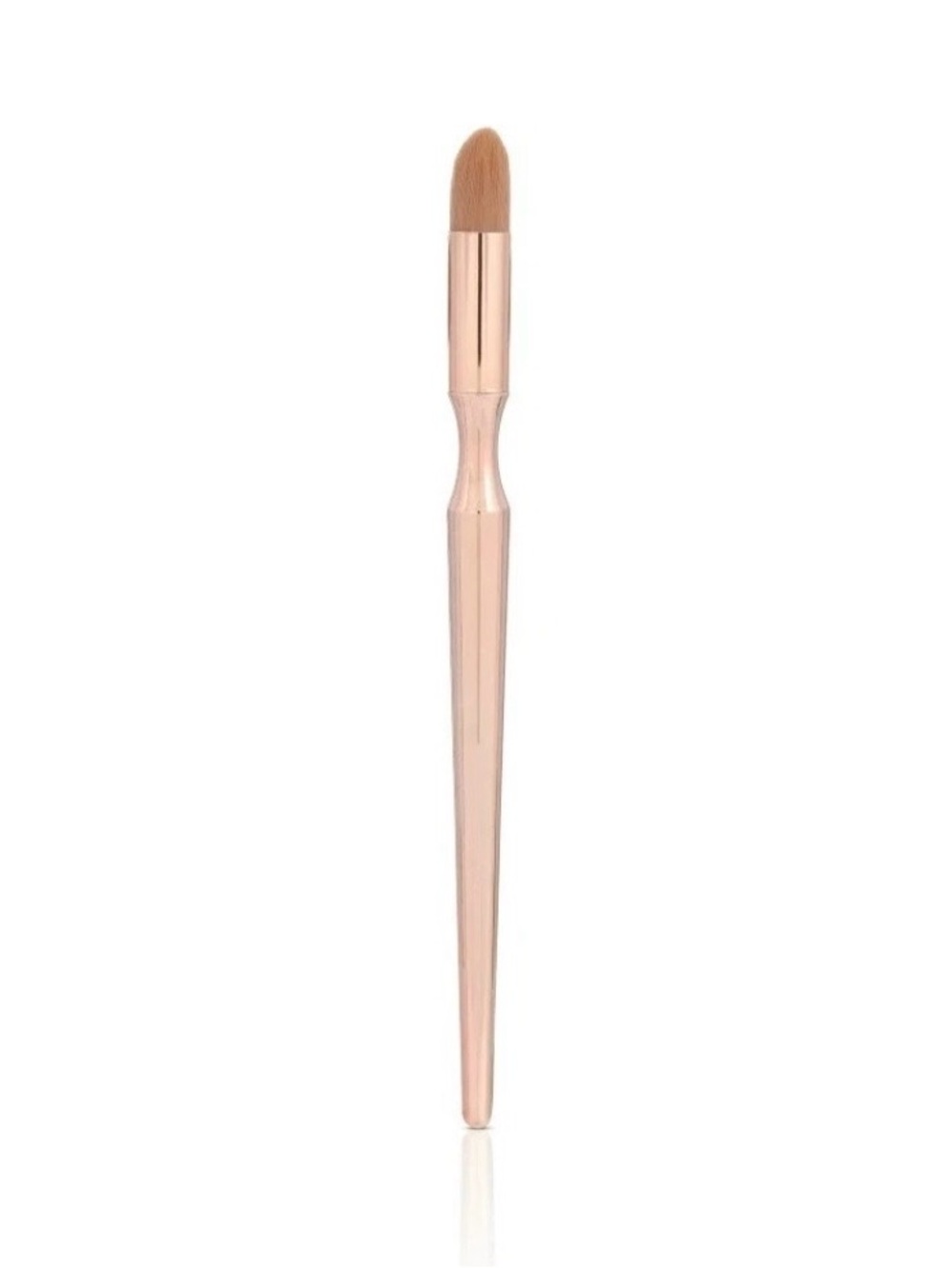 Cheeky Rose Beauty Point Brush with Case Eyeshadow Contour Concealer Smudger